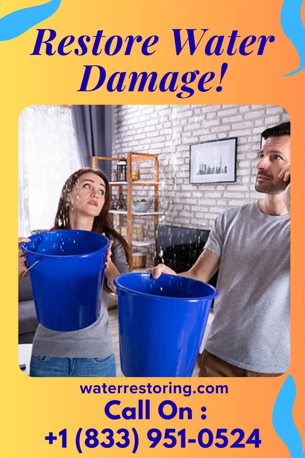 water restoration United Property Restoration Professionals Necedah