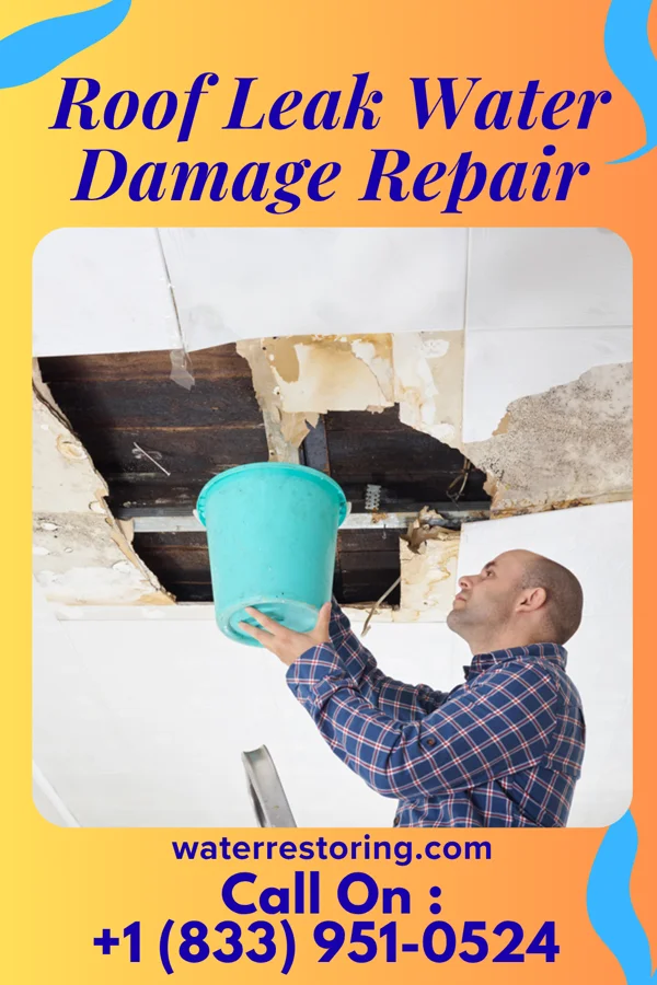 Roof Leak Water Damage Repair in Necedah, WI